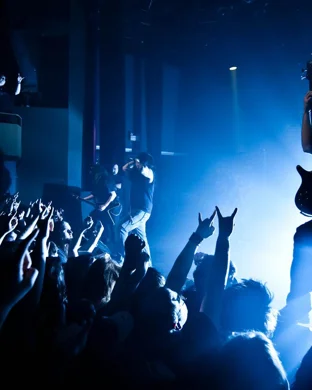 Disturbed
