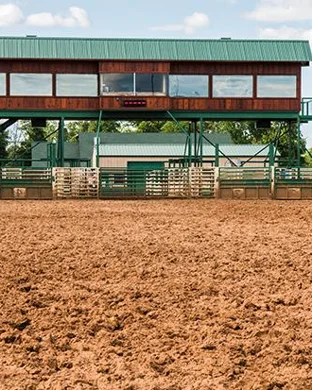 PBR: Teams Series