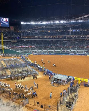 Weekley Brothers Davie Pro Rodeo