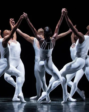Dance Now! Miami: Gravity and Grace